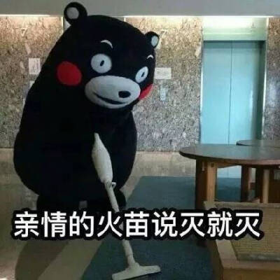 点赞  评论  #熊本熊 亲情的火苗说灭就灭 0 41 刘初二  发布到  表情