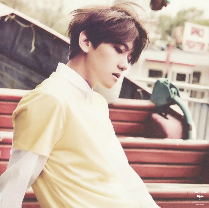 exo   love me right >韩专个人写真 边伯贤 〔baek hyun〕