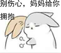 兔子表情包
