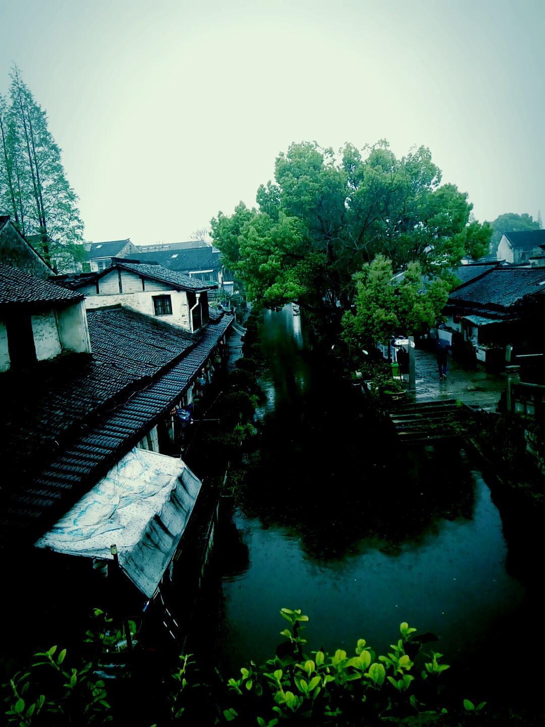 雨中的江南柔软的像水一样