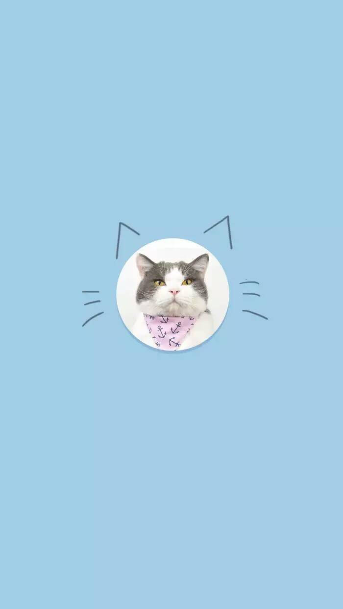 存图别忘了随手赞~关注我看更多精品美图~可爱猫咪壁纸 头像 小清新