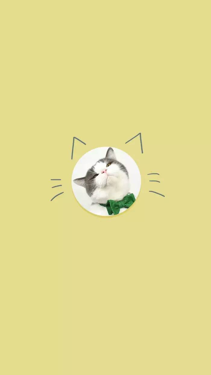 头像 小清新 萌 可爱 小可爱 高清 少女 喜欢就抱走
