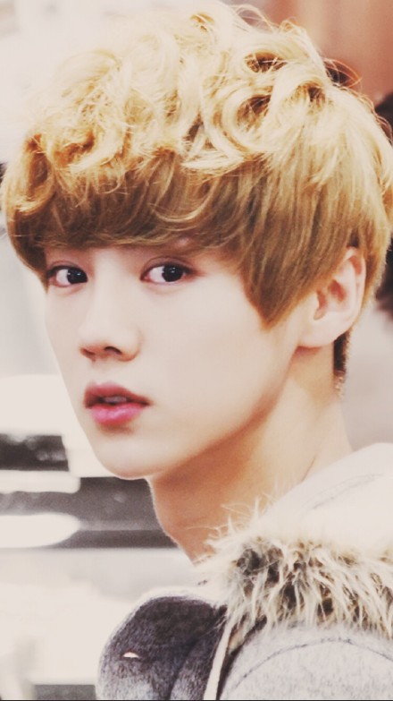 鹿晗 鹿哥 luhan 圈饭神图,忍不住又发了一遍