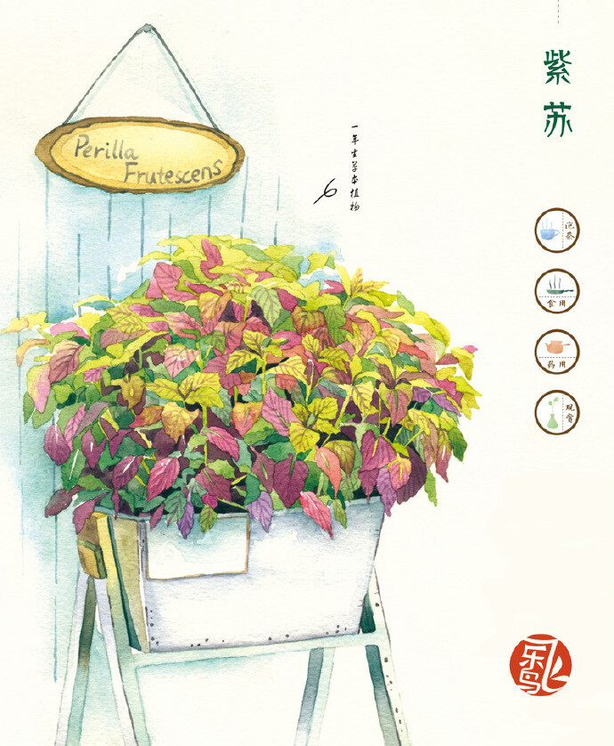 飞乐鸟作品《花时间,和飞乐鸟一起玩栽培》