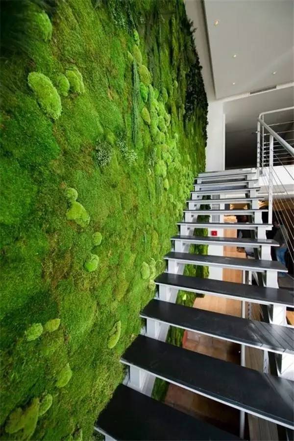 而一整面的植物墙也在近年成为空间装饰的一大亮点,既能起到美化作用