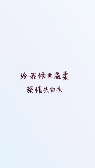 爱情 文字