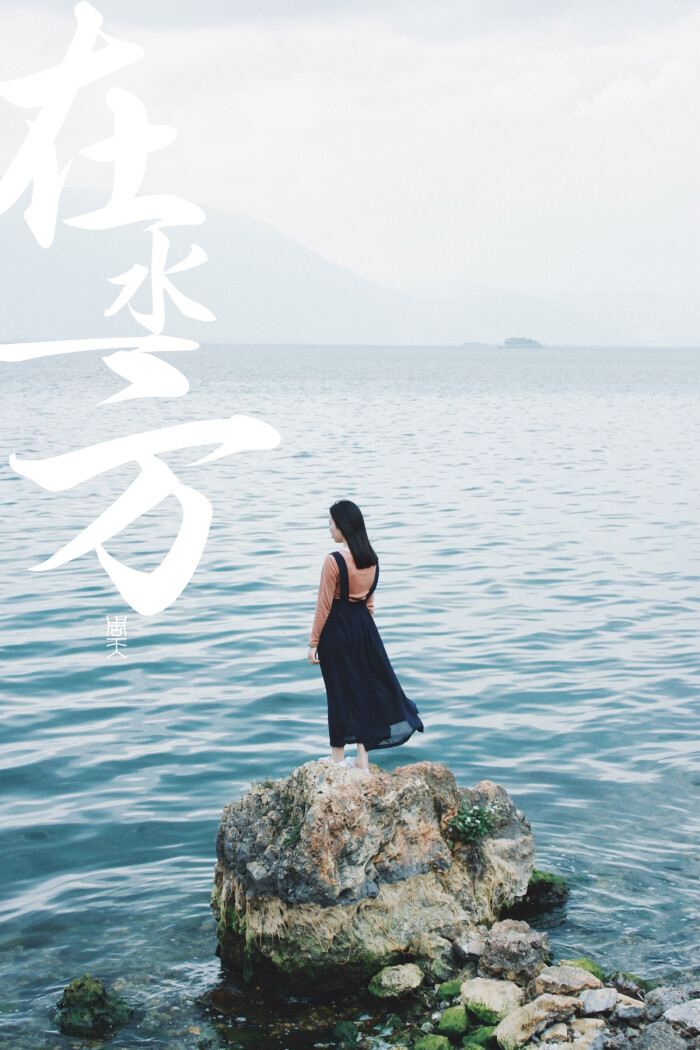 所谓伊人,在水一方
