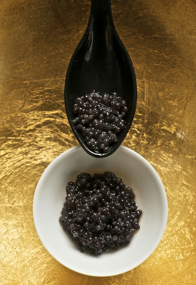 『俄罗斯美食 鱼子酱』caviar