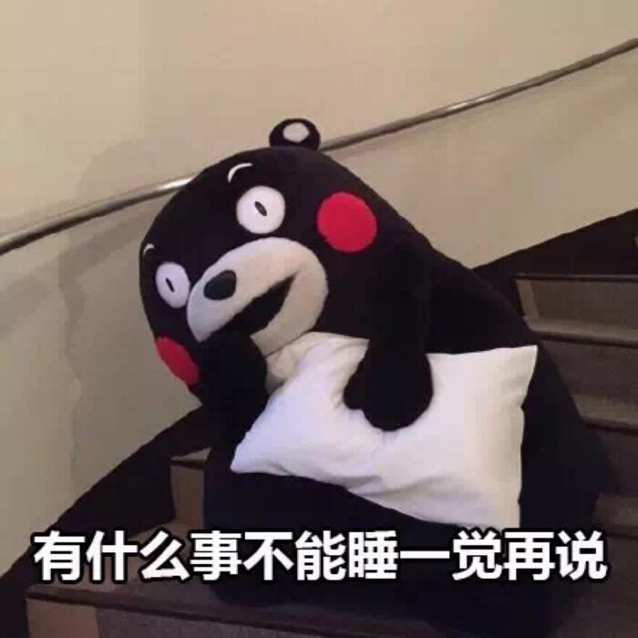 熊本熊 