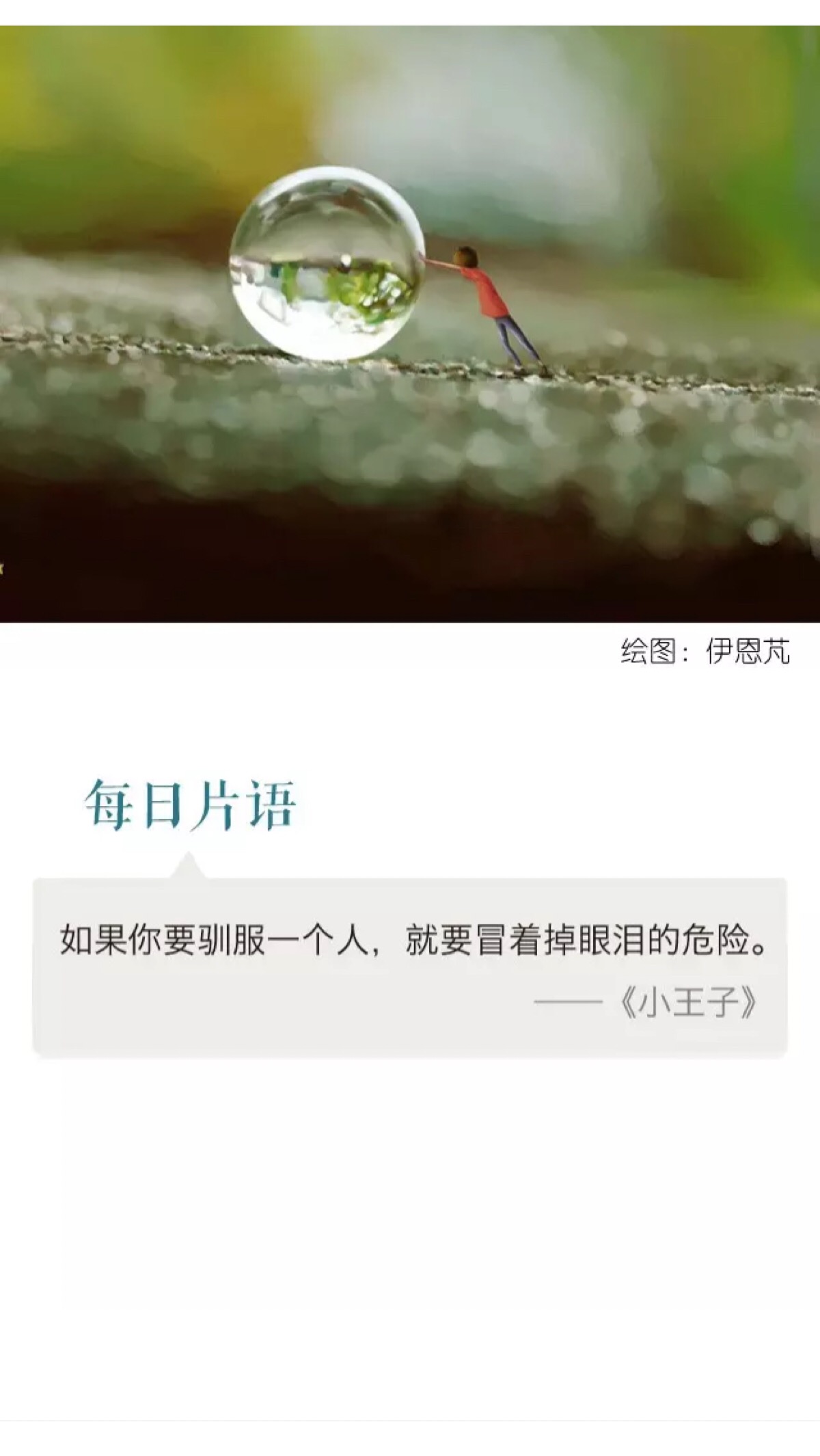 31 语录 句子 情感 回忆 人生感悟 心灵鸡汤 成长 励志