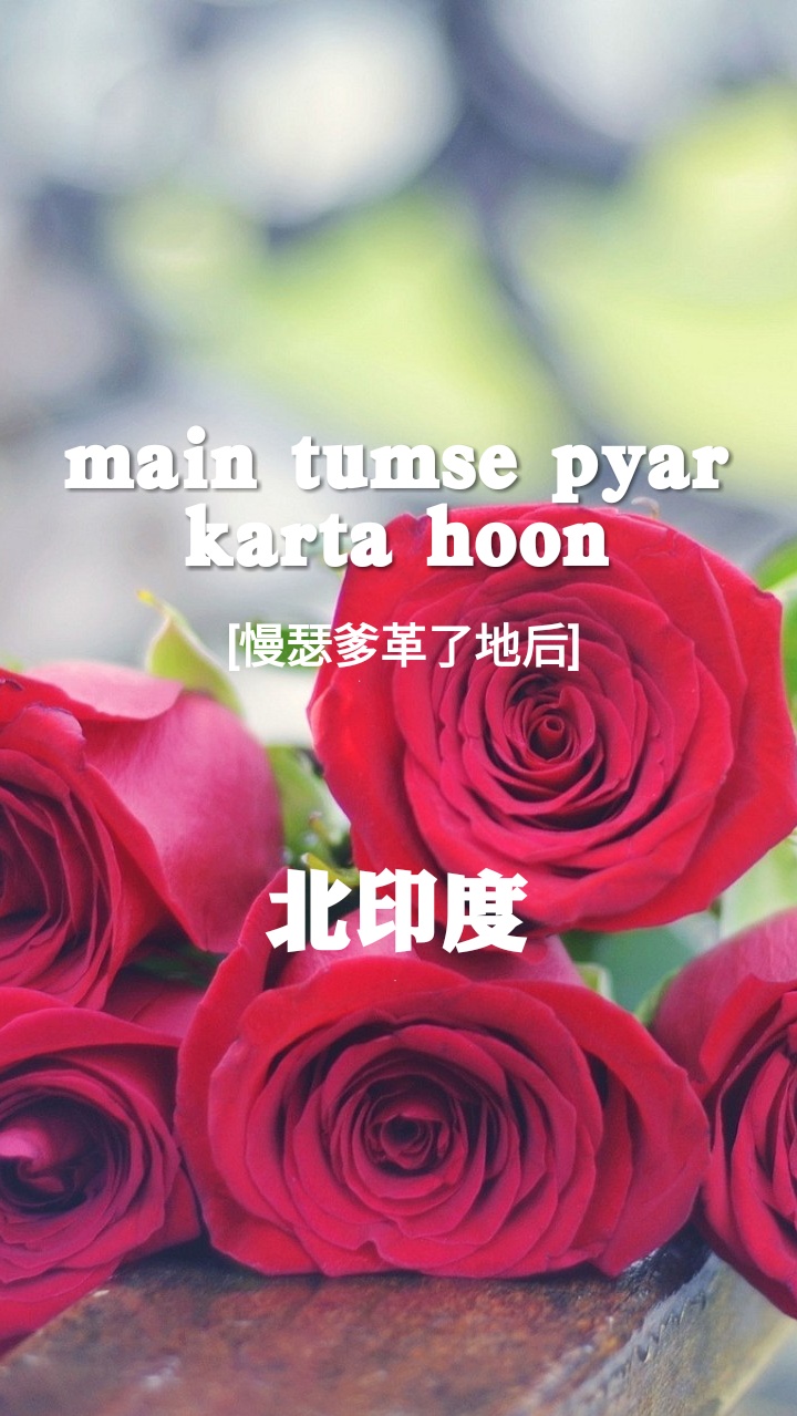 [520用各国语言说"我爱你"]#月份壁纸#节日壁纸#风景#花朵#文字#图片