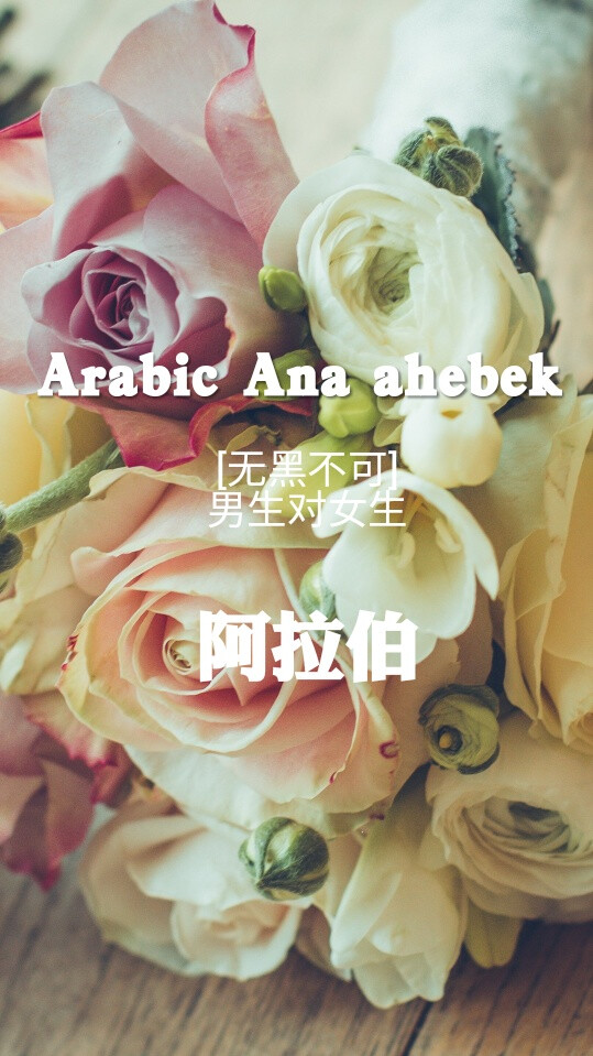 [520用各国语言说"我爱你"]#月份壁纸#节日壁纸#风景#花朵#文字#图片