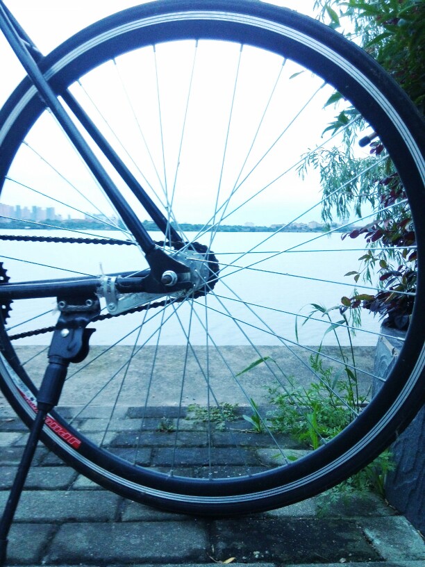车轮里的风景 湖 自行车 壁纸