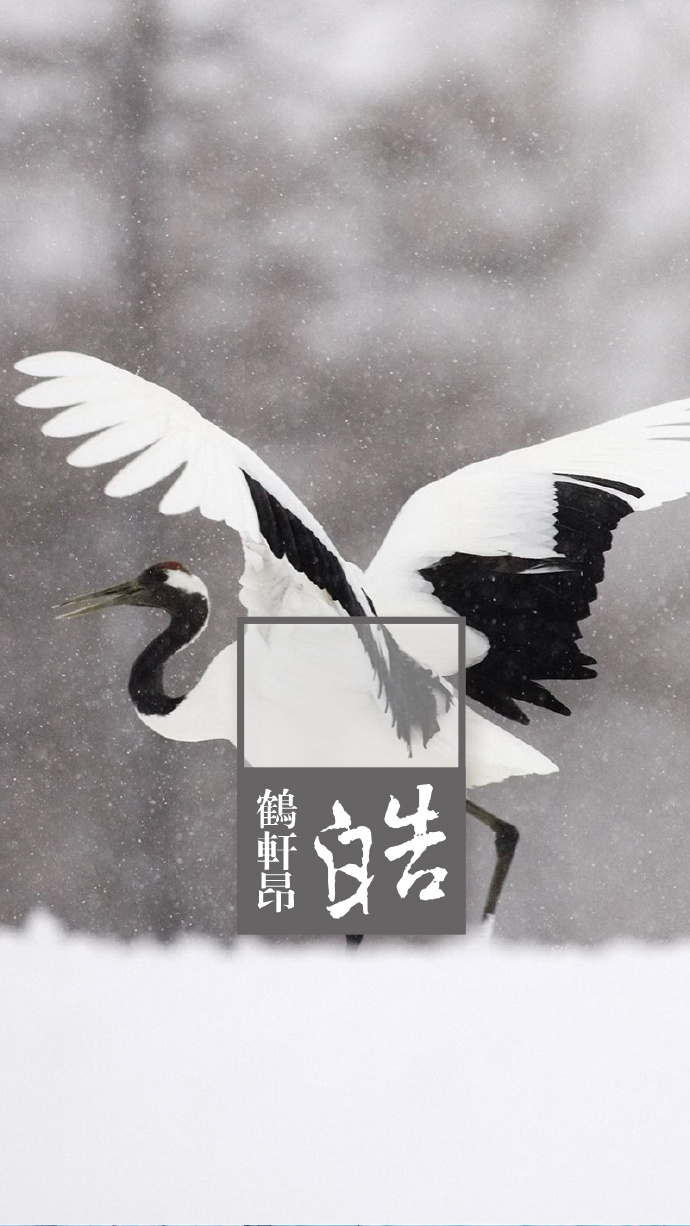中国美色系列壁纸