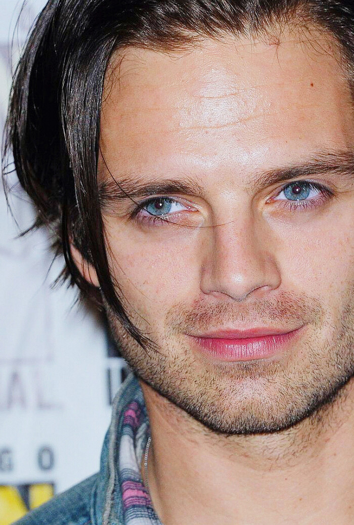 sebastian stan,数胡子