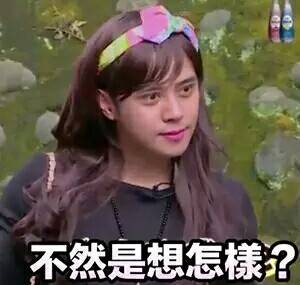 极限挑战 小猪 朱碧石 表情包