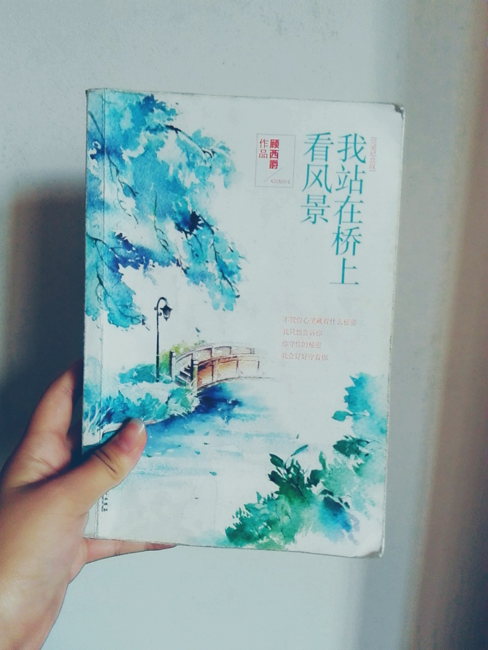 我站在桥上看风景
