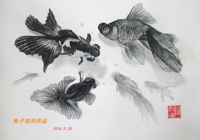 兔子凌风陶启全素描中性笔画金鱼手绘画画艺术