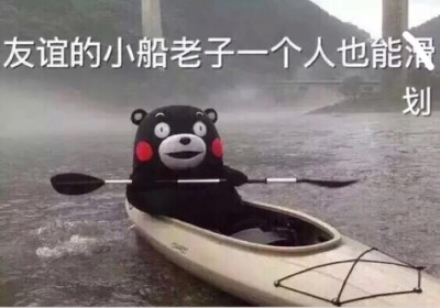 友谊的小船说翻就翻.熊本表情