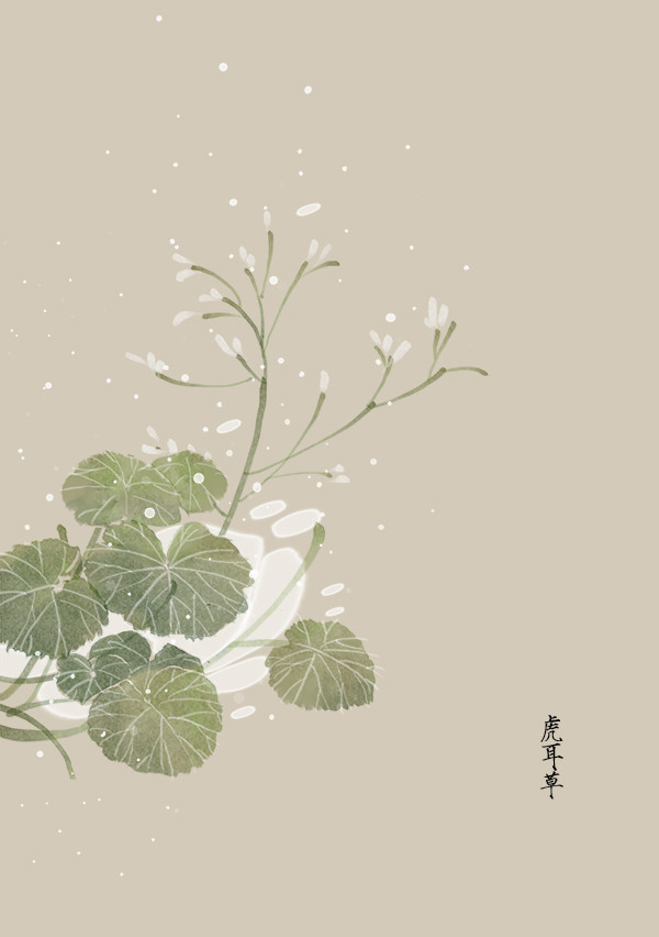 花草,水墨,封面,淡雅,唯美,插画,古风