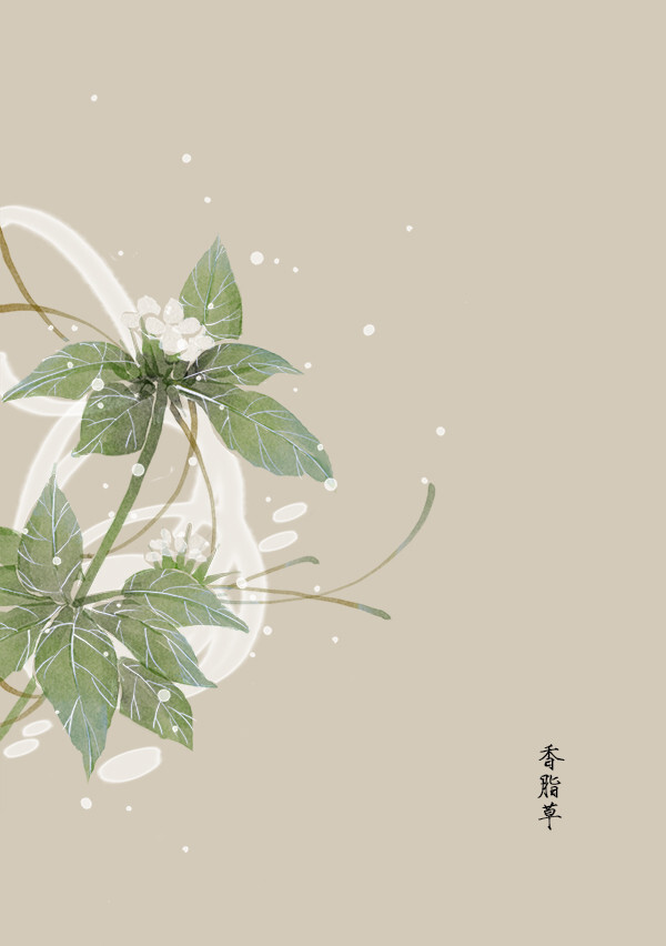 花草,水墨,封面,淡雅,唯美,插画,古风