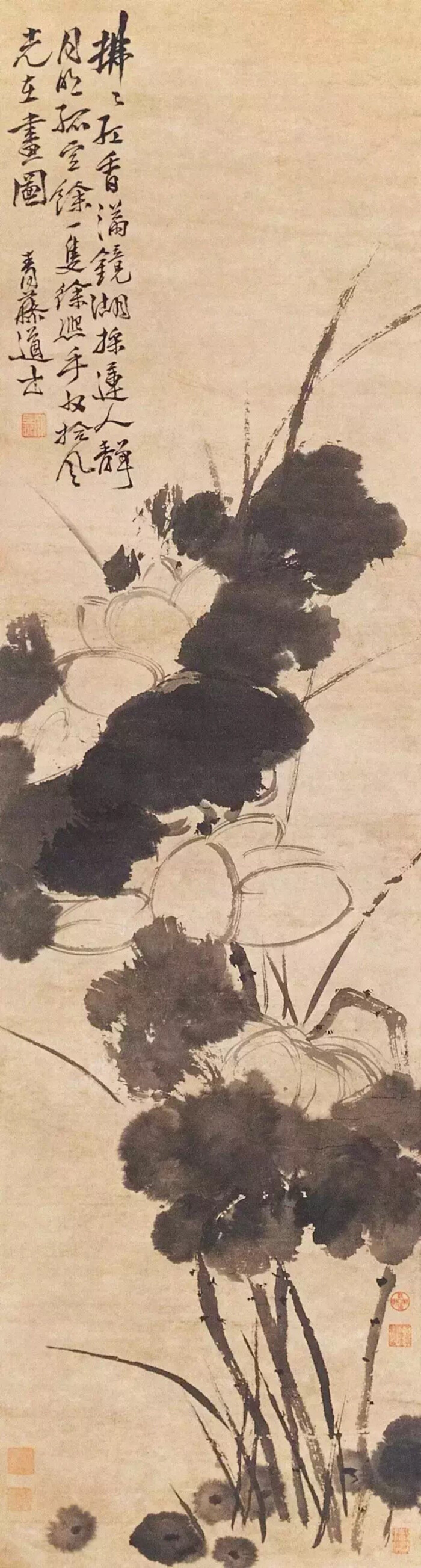 徐渭(152l～1593)明代书画家