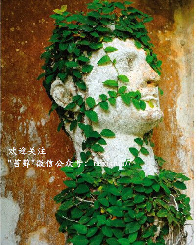 人头造型花盆微信号:taixian007-堆糖,美好生活