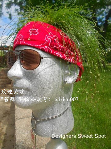 人头造型花盆微信号:taixian007-堆糖,美好生活