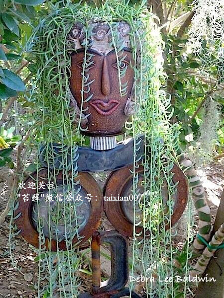 人头造型花盆购买微信号:taixian007-堆糖,美好