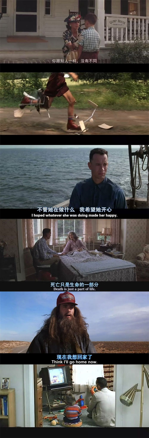 【阿甘正传 forrest gump】罗伯特·泽米吉斯.