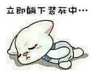 【表情包可爱萌卡通动漫gif纯文字污金馆长熊猫头蘑菇头暴走漫画魔性