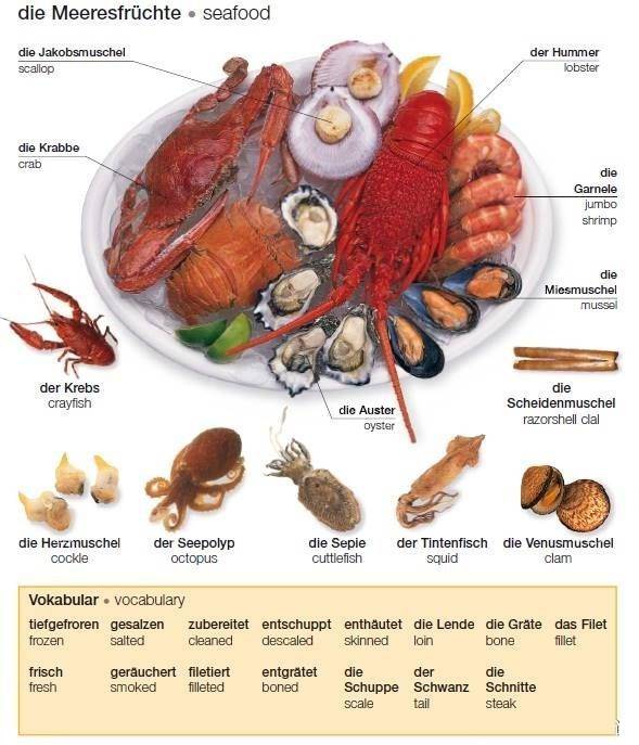 海鲜英语词汇
