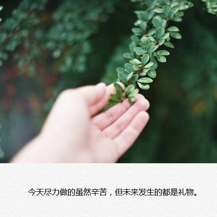 伤感文字图片 头像 手机壁纸 空间壁纸 锁屏壁纸 小清新图片 没关系