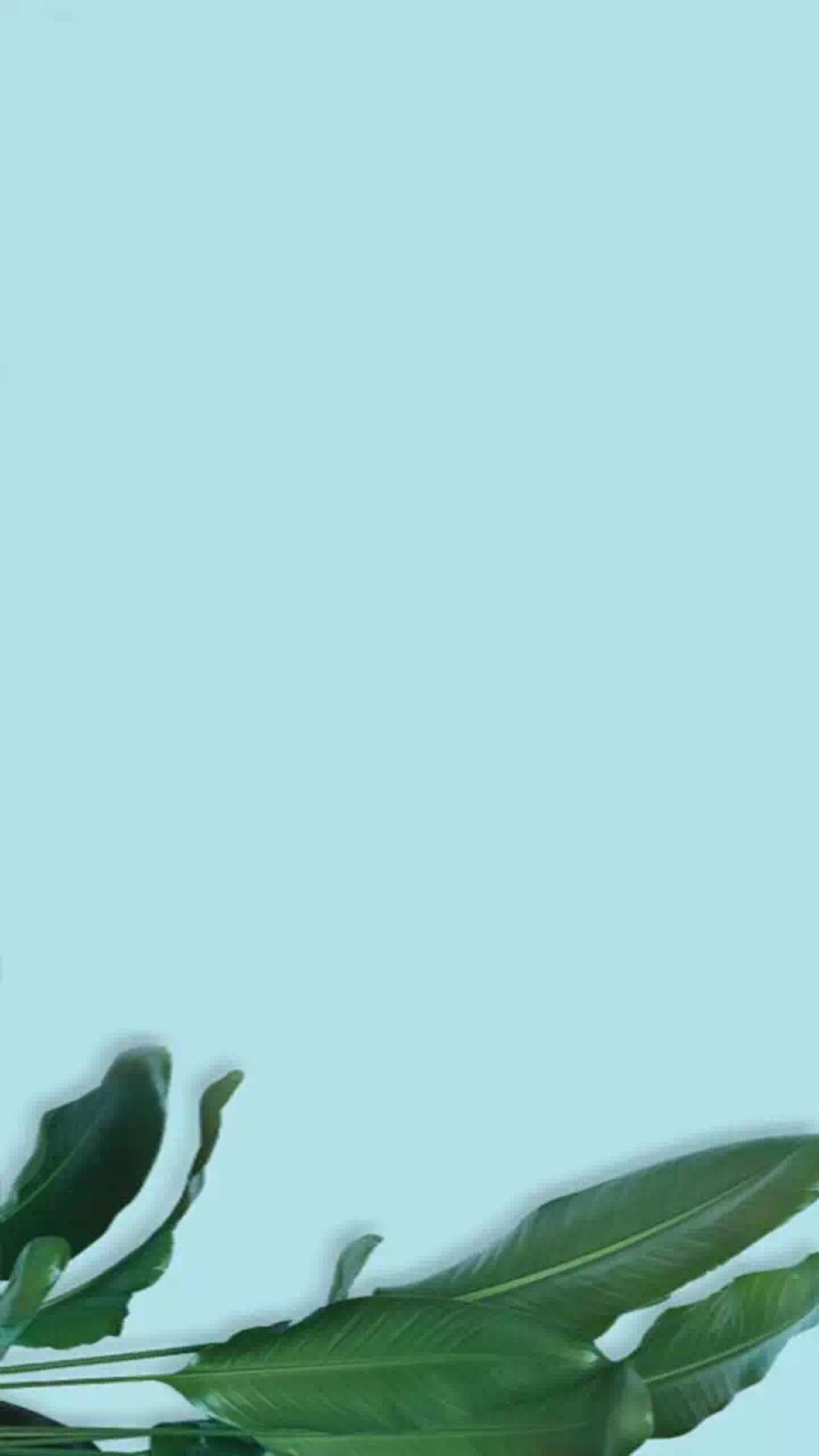 护眼壁纸
