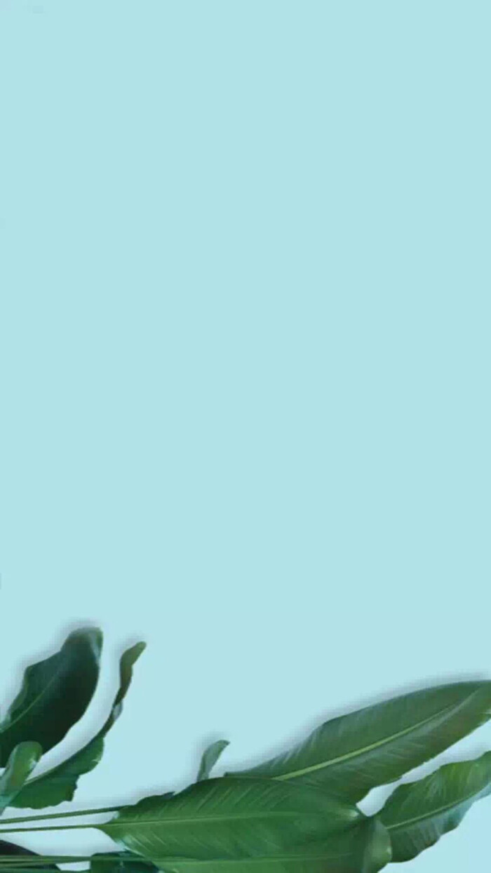 护眼壁纸