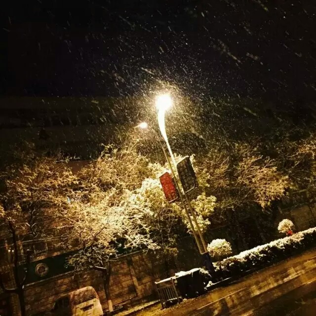 落雪