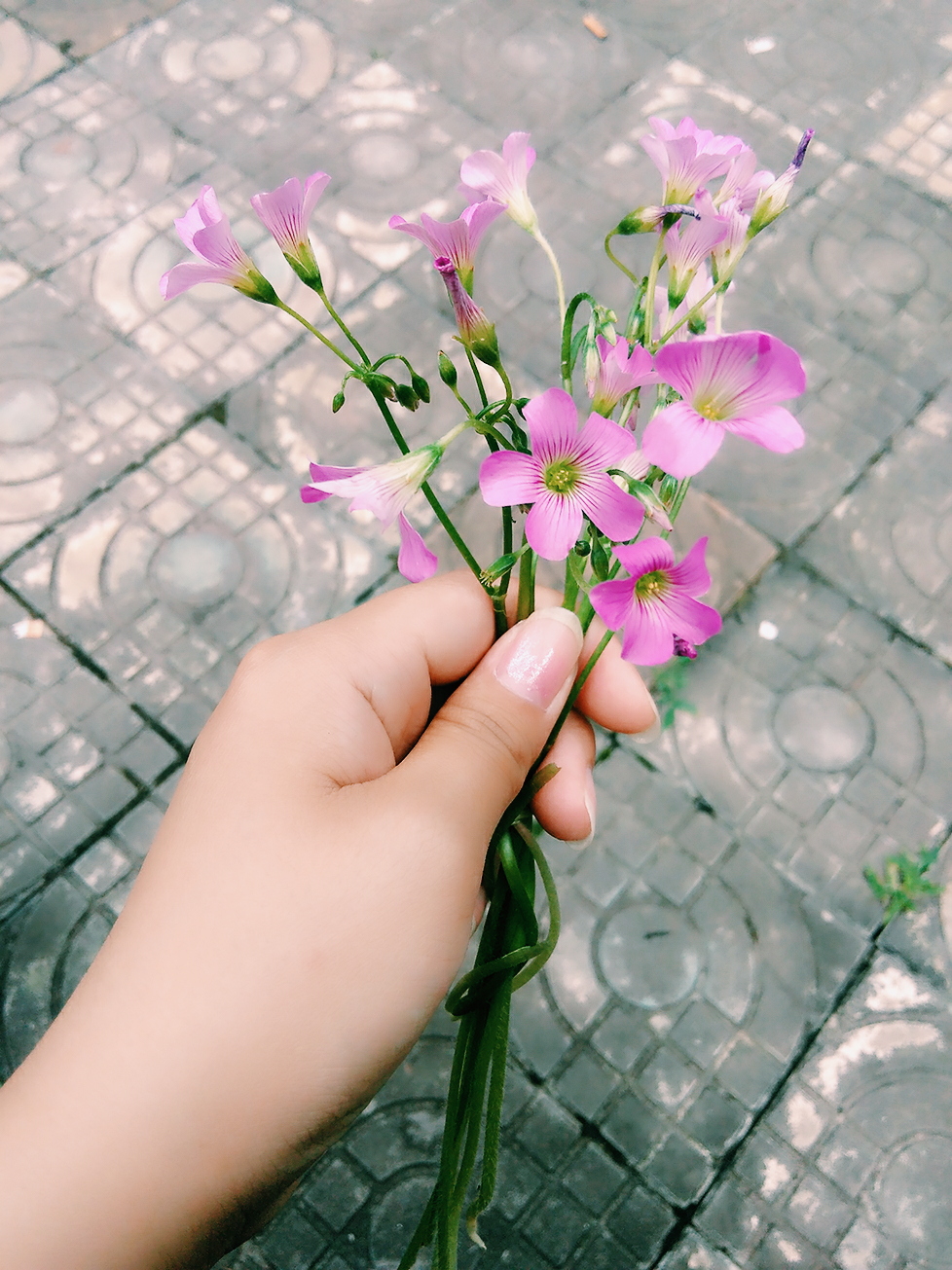 不负好时光