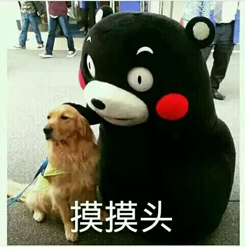 摸摸头 