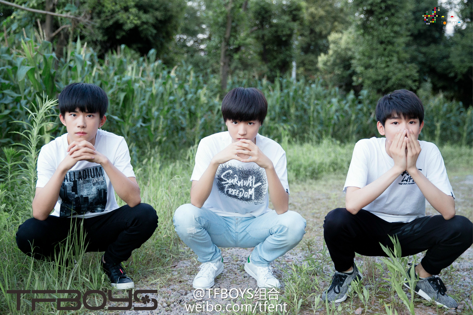 tfboys 