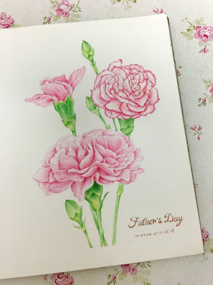 2016年6月21日 16:34   关注  彩铅 手绘 插画 手绘花卉 康乃馨 评论