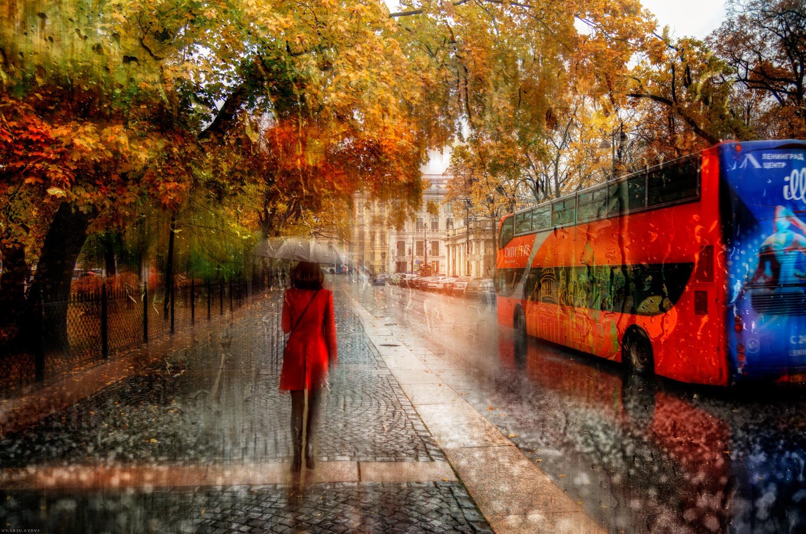 雨中漫步—摄影师eduard gordeev