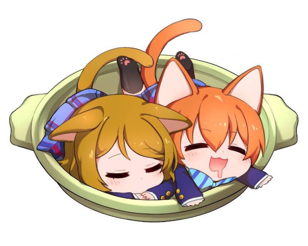 q版 萌物 猫耳(来自微博)
