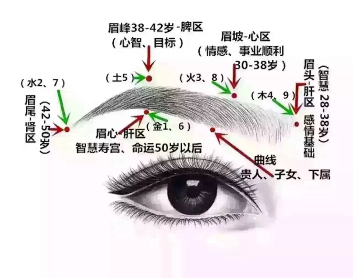 孤立垂助, 眉高心高,眉低受欺, 红眉克亲,蓝眉伤己, 眉不过框,富贵不