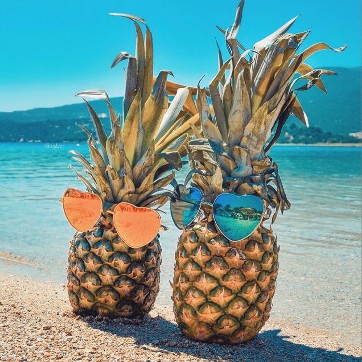 ananas