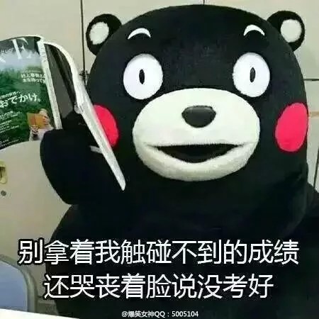 别拿我触碰不到的成绩还哭丧着脸说没考好