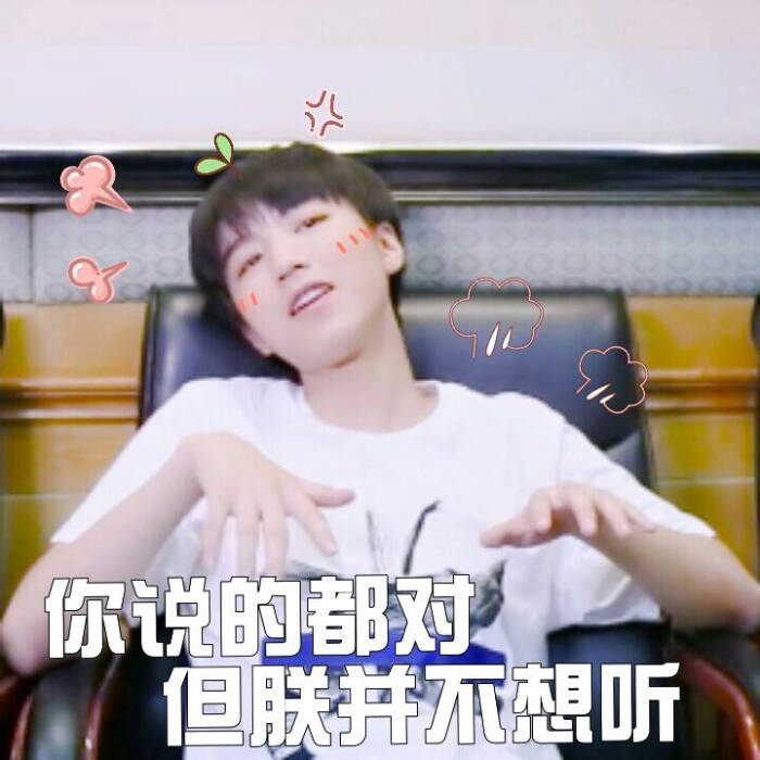 王俊凯##tfboys王俊凯# 160528 日记之观时尚 可爱饭制表情包