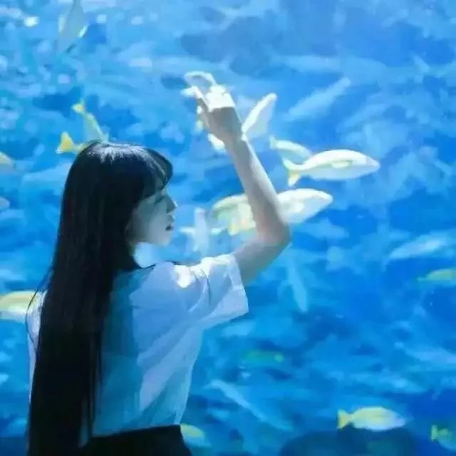 长发 短发 单马尾 双马尾 麻花辫 美少女 美男 二次元 动漫 美图 头像