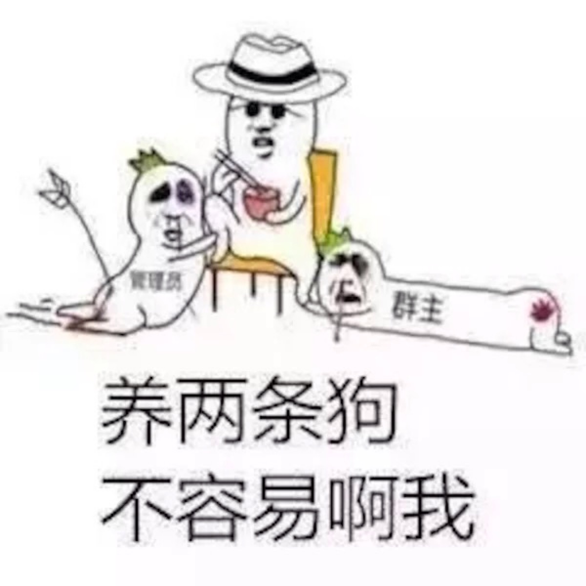 暴走漫画表情包_王尼玛金馆长逗比搞笑斗图