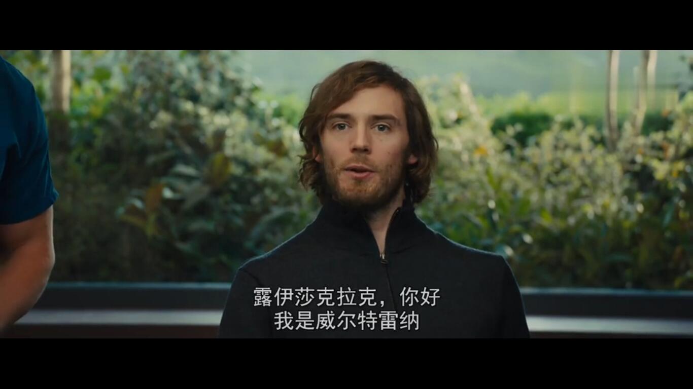 遇见你之前/me before you