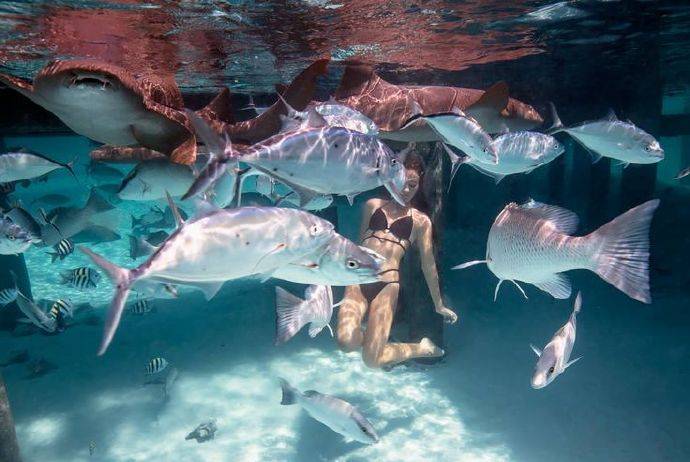 巴哈马群岛的美女sacha,在海底拍摄的每一张唯美写真,告诉我们,美人鱼